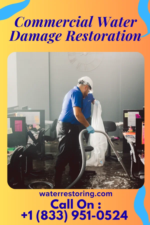 Commercial Water Damage Restoration in Lakes East, CT