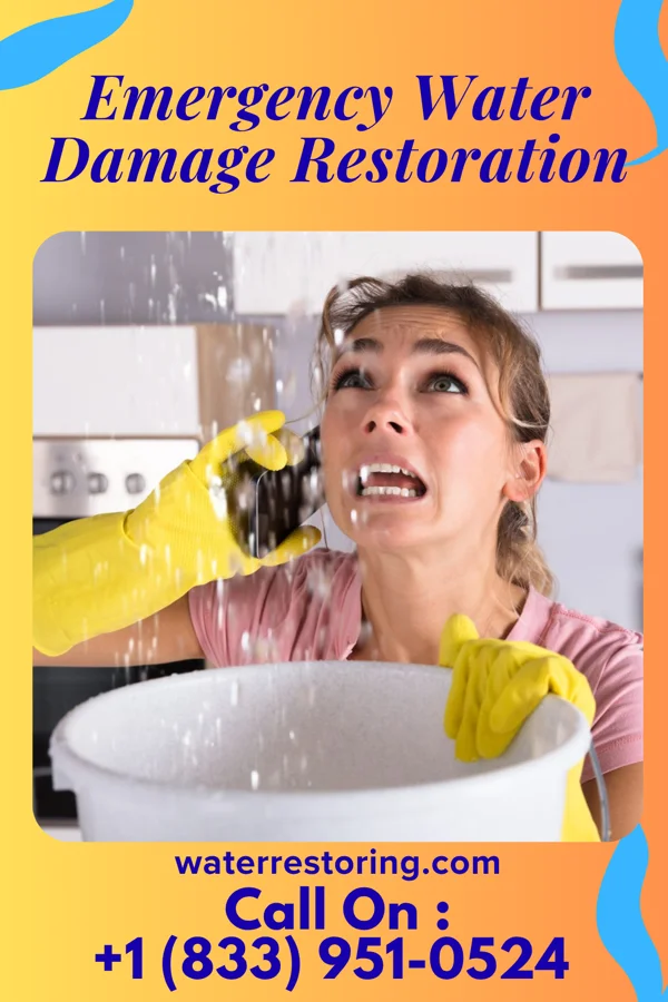 Emergency Water Damage Restoration in Lakes East, CT