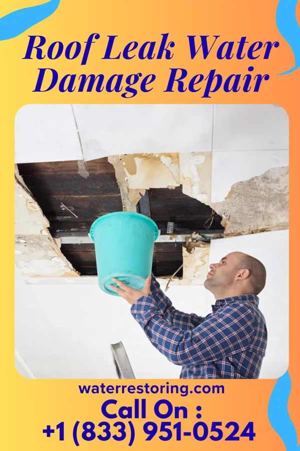 Roof Leak Water Damage Repair in Lakes East, CT